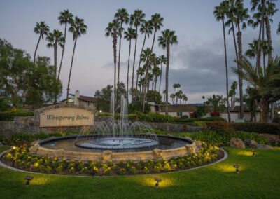 008_whisperingPalmsCommunity