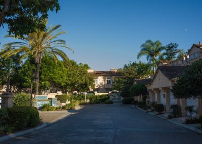 010_whisperingPalmsCommunity