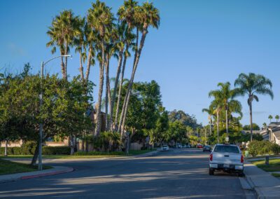 015_whisperingPalmsCommunity